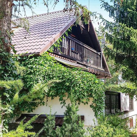 3 Bedroom Stunning Home In Dziemiany Bagian luar foto
